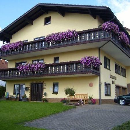 Pension Am Limespfad Hesselbach Esterno foto